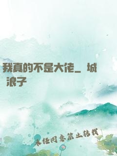 我真的不是大佬